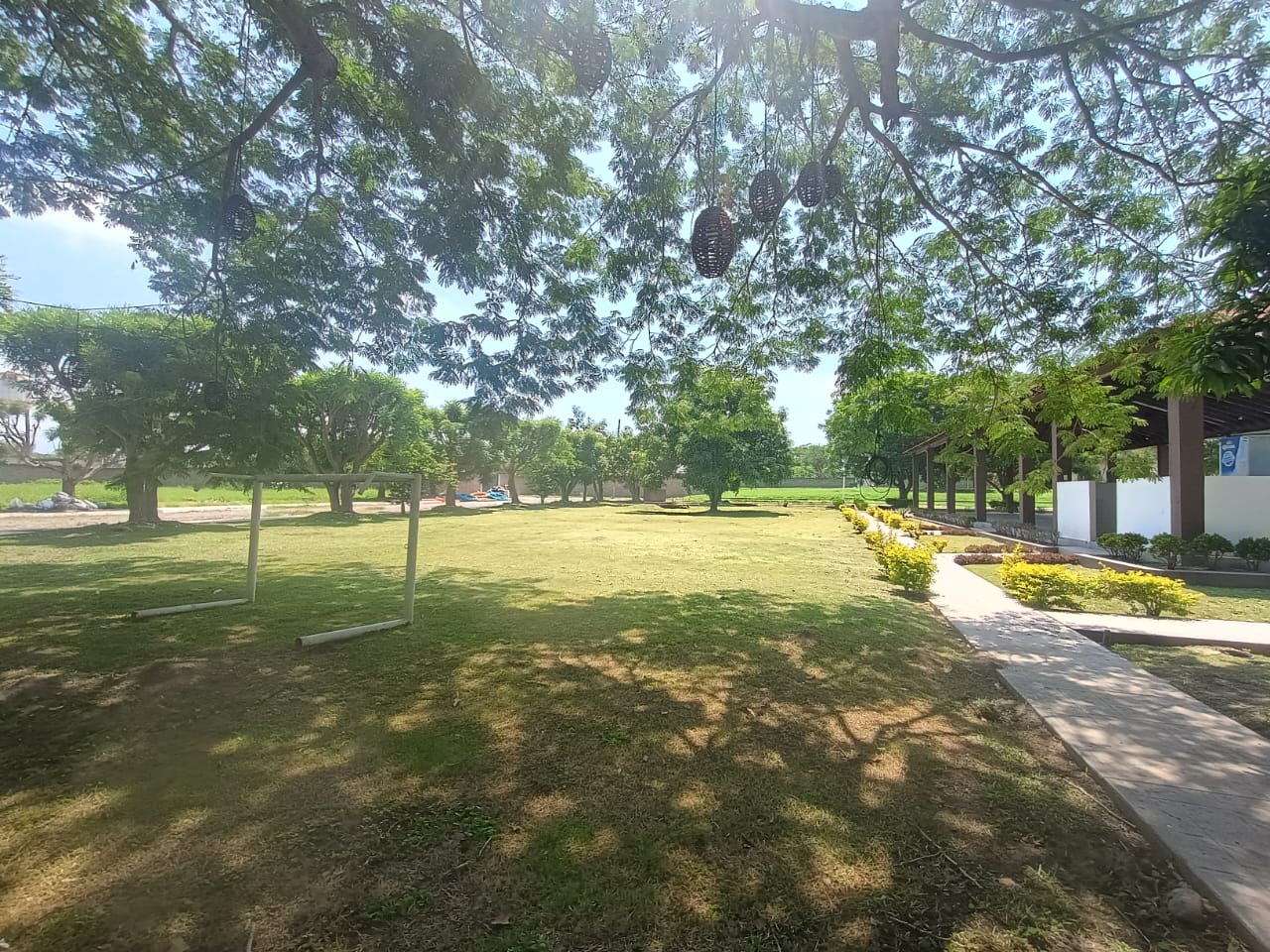 slide 6